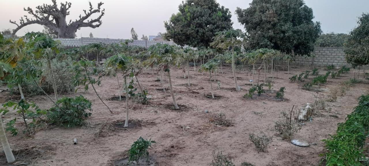 Saly Lrad Le Village Ngaring Buitenkant foto