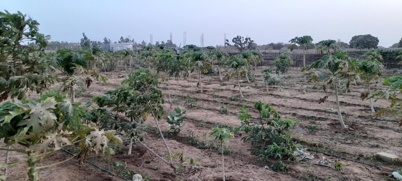 Saly Lrad Le Village Ngaring Buitenkant foto