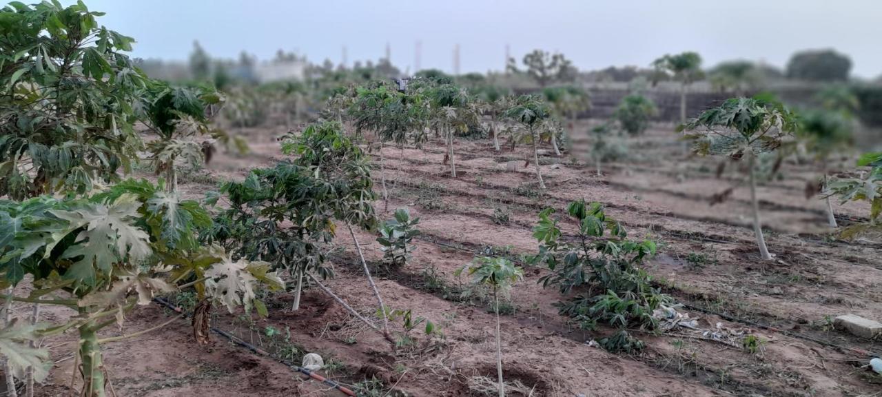 Saly Lrad Le Village Ngaring Buitenkant foto